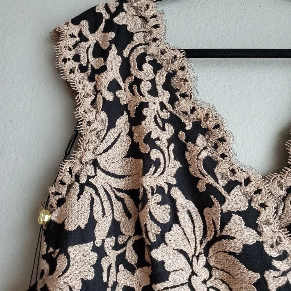 Tadashi Shoji Embroidered Lace Dress size 18 NWT